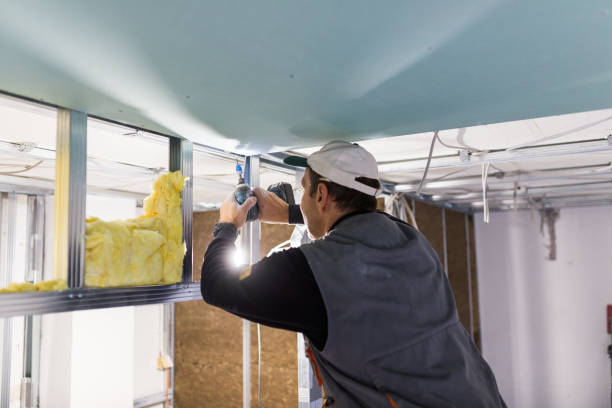 Best Attic Insulation Installation  in Vaeboro, NC