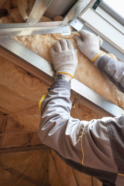 Best Insulation Replacement Services  in Vaeboro, NC