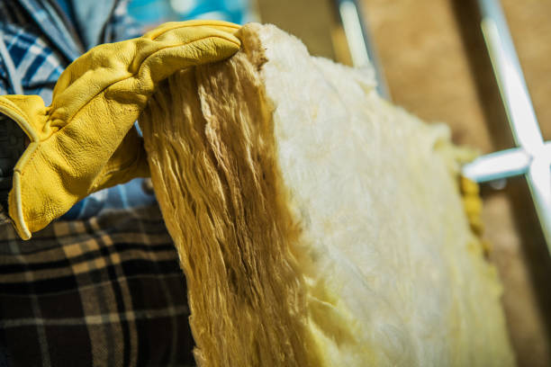 Best Insulation for New Construction  in Vaeboro, NC