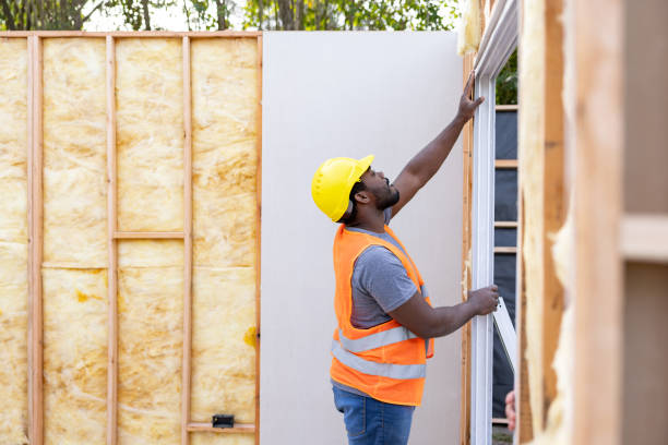 Best Home Insulation Services  in Vaeboro, NC
