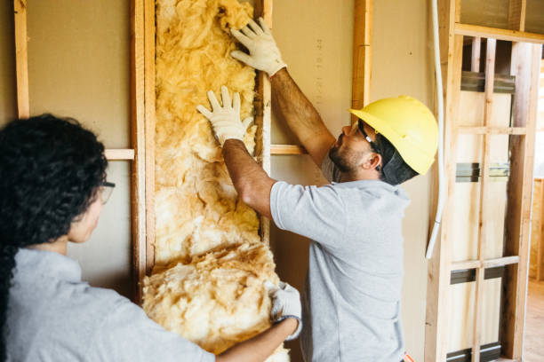 Best Attic Insulation Installation  in Vaeboro, NC