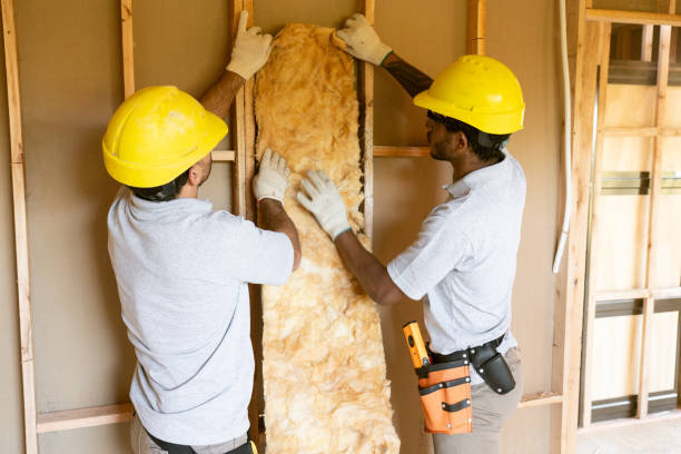 Best Insulation Contractor Near Me  in Vaeboro, NC