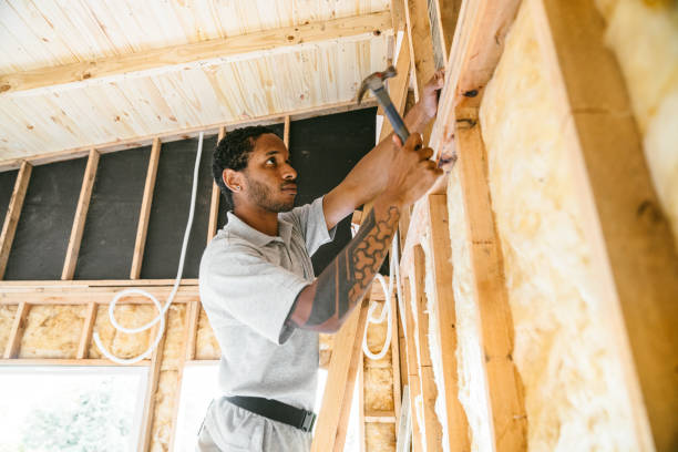 Best Best Insulation Companies  in Vaeboro, NC