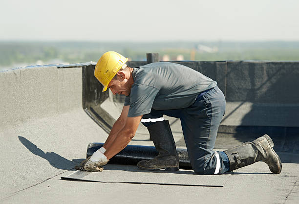 Best Soundproof Insulation Installation  in Vaeboro, NC