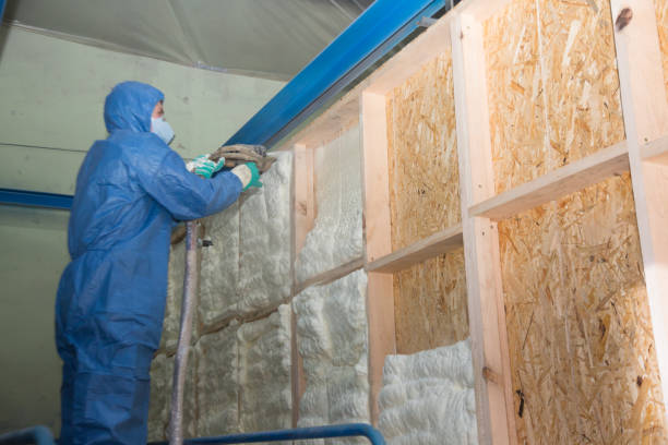 Best Local Insulation Services  in Vaeboro, NC