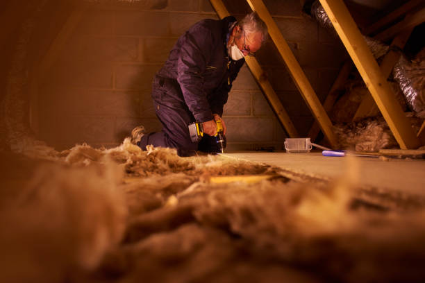 Best Insulation Removal  in Vaeboro, NC