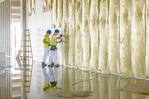 Professional Insulation Contractor in Vanceboro, NC